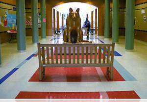 石英地板工程案例 石英地板工程案例